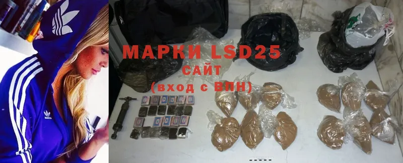 LSD-25 экстази ecstasy  darknet состав  Каменногорск  OMG как войти 